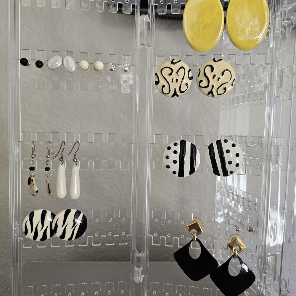 Stylish Black and White Earrings Set